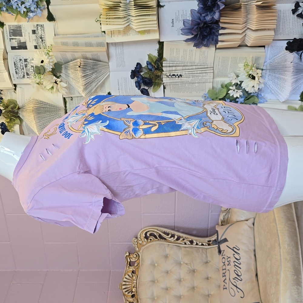 NWT Disney 100 Her Universe Cinderella Distressed Tee XS Purple - Picture 4 of 7